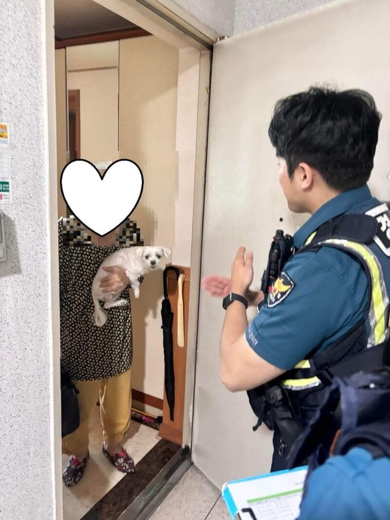 도시락 전달2