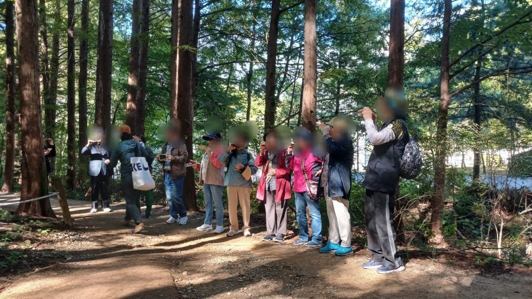 정발산에서 사회체험프로그램 유정순 숲해설가 진행 사진=노진숙