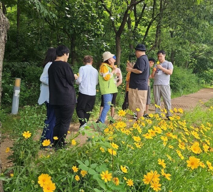 향긋한 숲의 초대 시간으로 시설 인근 산을 산책하며 숲에 있는 향긋한 꽃과 눈맞춤함, 사진+협회제공